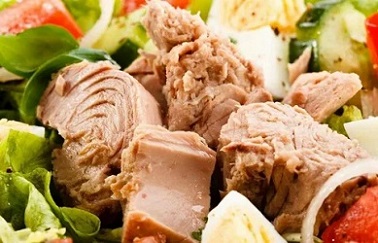 تصویر 1 از قیمت خرید تن ماهی شیلتون با سبزیجات + فروش ویژه